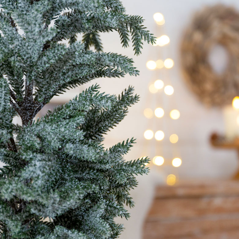 パインツリー ポット付き