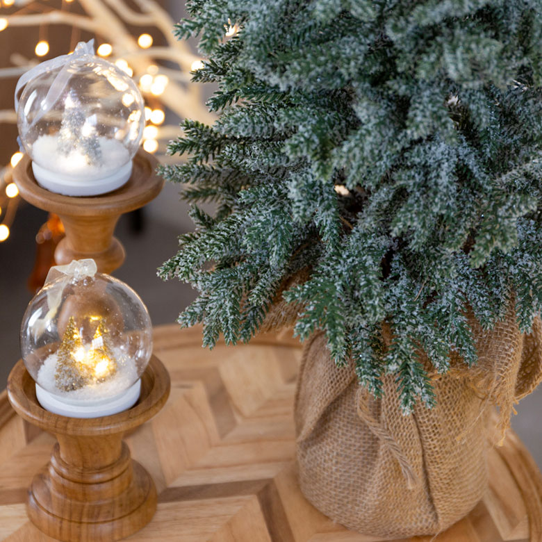 パインツリー ポット付き