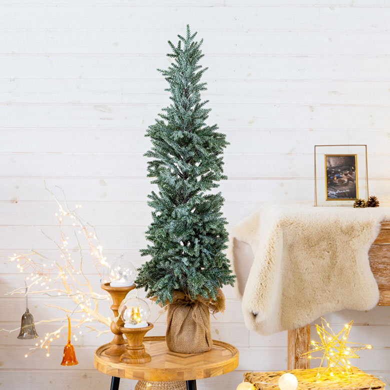 パインツリー ポット付き