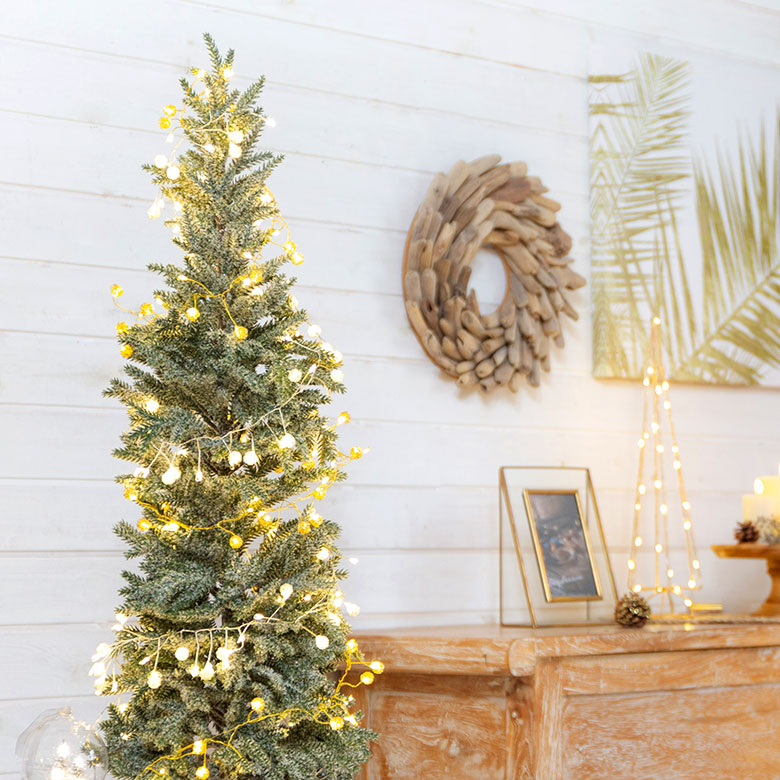 パインツリー ポット付き