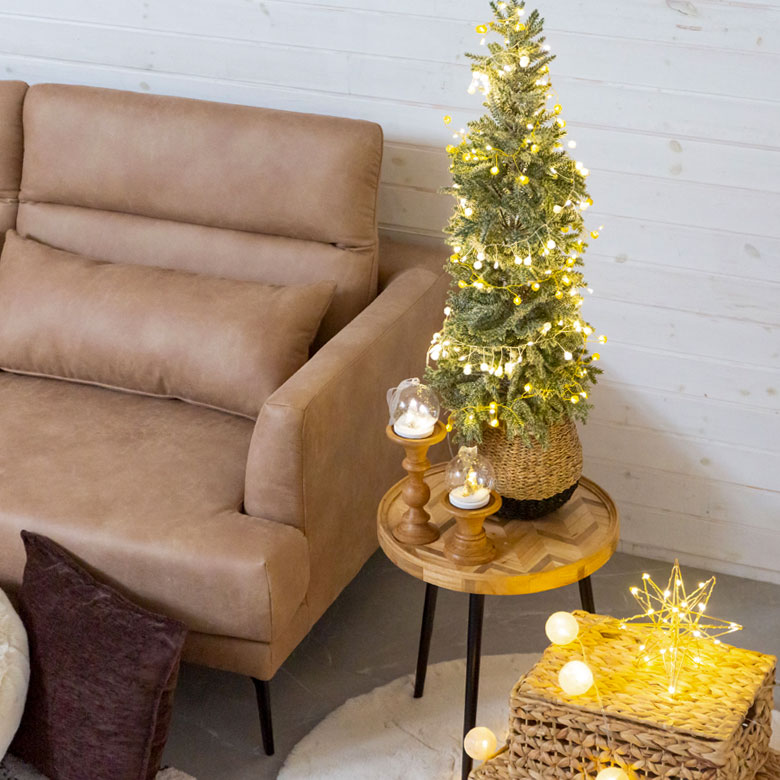 パインツリー ポット付き