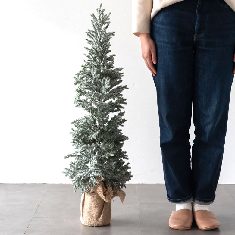 パインツリー ポット付き