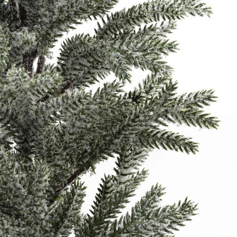 パインツリー ポット付き