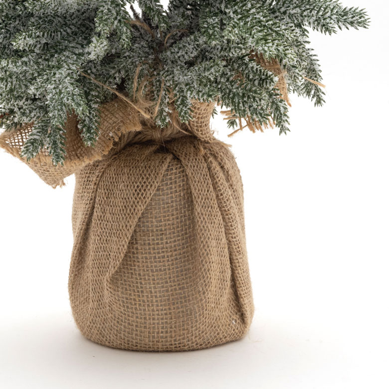 パインツリー ポット付き