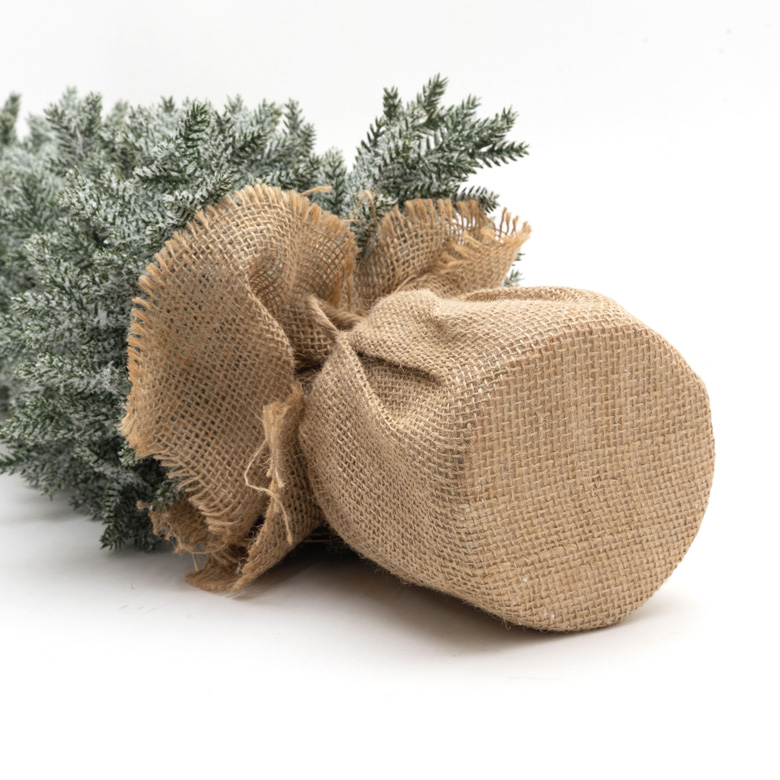 パインツリー ポット付き