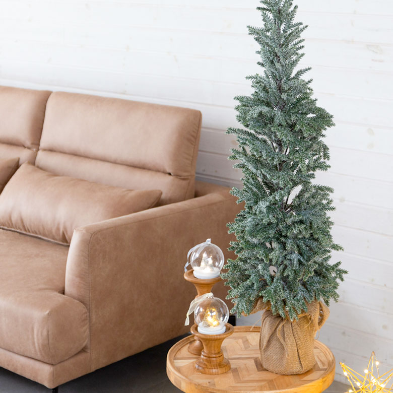 パインツリー ポット付き