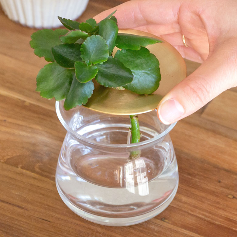 ガラスと真鍮のフラワーベース S[クリア/ブラウン]