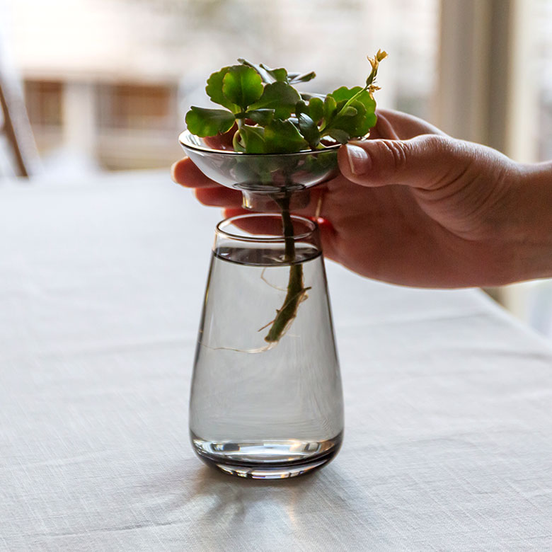 アクアカルチャーベースSサイズ [ クリア/グレー ]