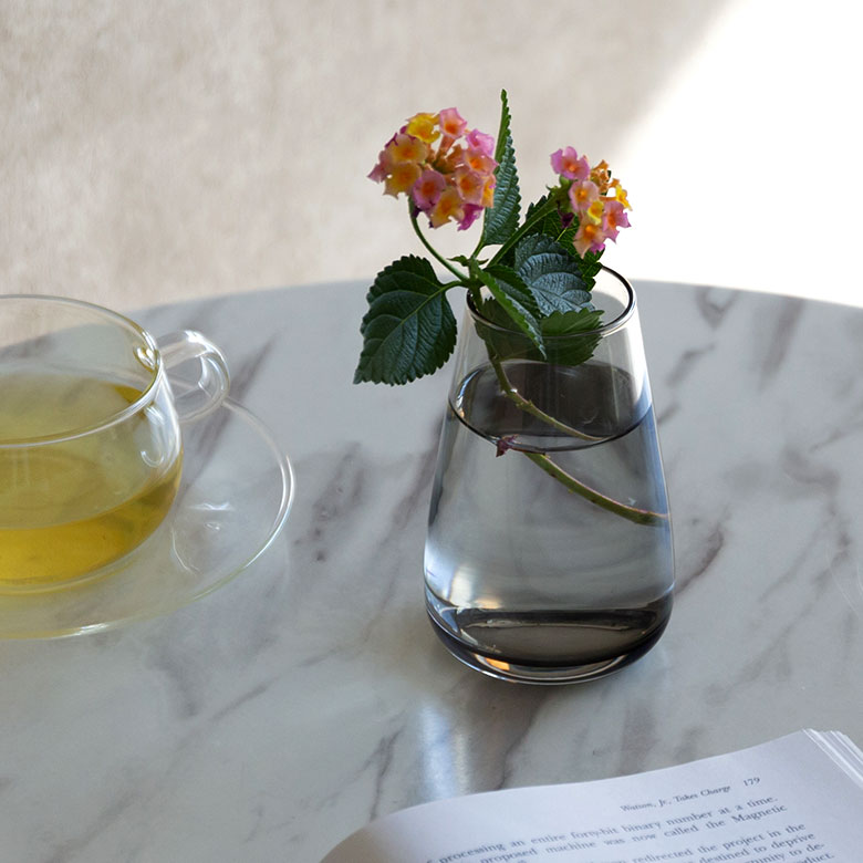 アクアカルチャーベースSサイズ [ クリア/グレー ]