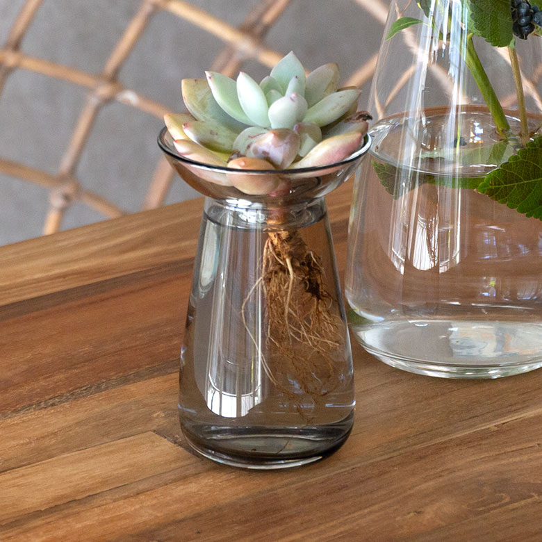 アクアカルチャーベースSサイズ [ クリア/グレー ]