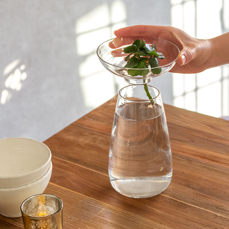 アクアカルチャーベースLサイズ [ クリア/グレー ]