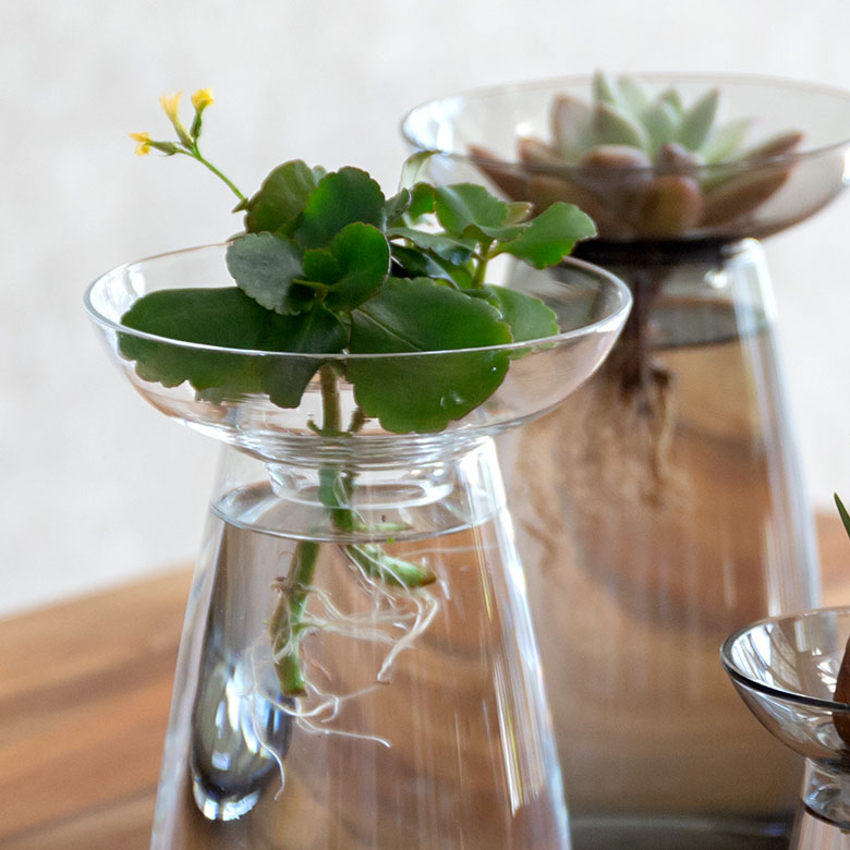 アクアカルチャーベースLサイズ [ クリア/グレー ]