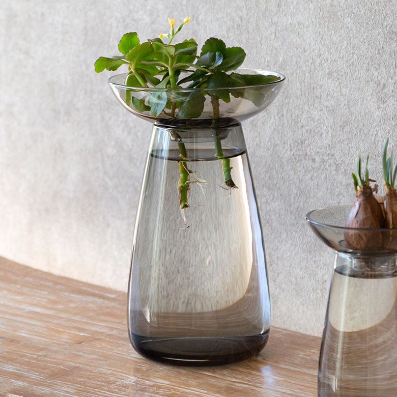 アクアカルチャーベースLサイズ [ クリア/グレー ]