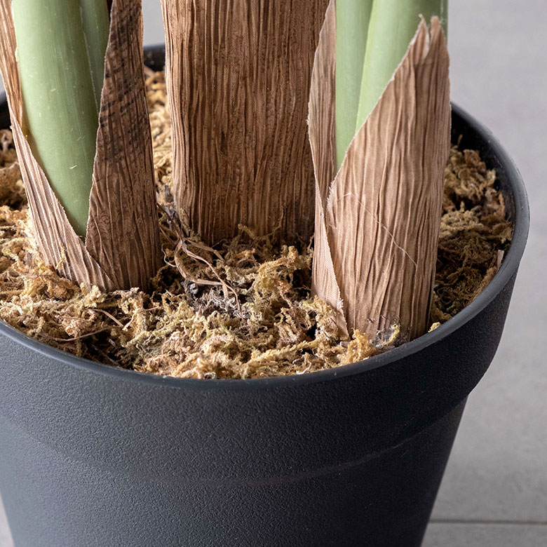 お手入れいらずで、南国リゾート感を楽しむフェイクグリーン モンステラ