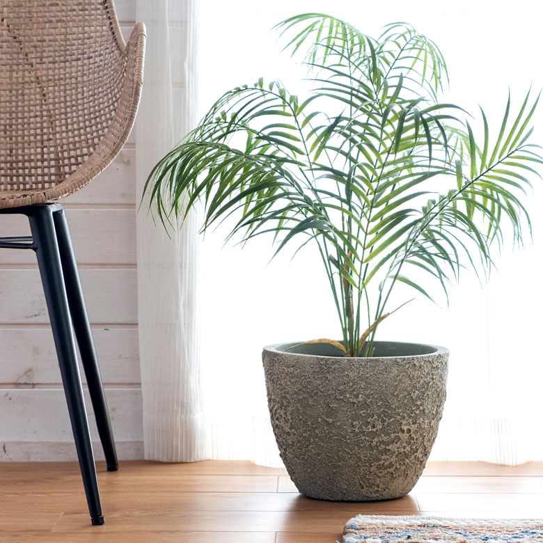 自然な風合いで主役を引き立てる。プランター Sサイズ