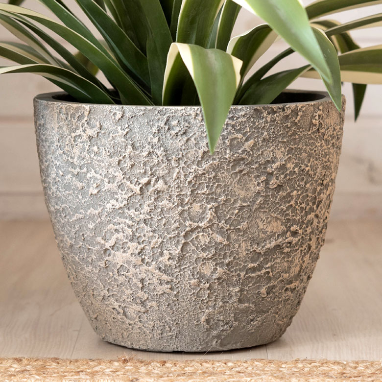 自然な風合いで主役を引き立てる。プランター Sサイズ