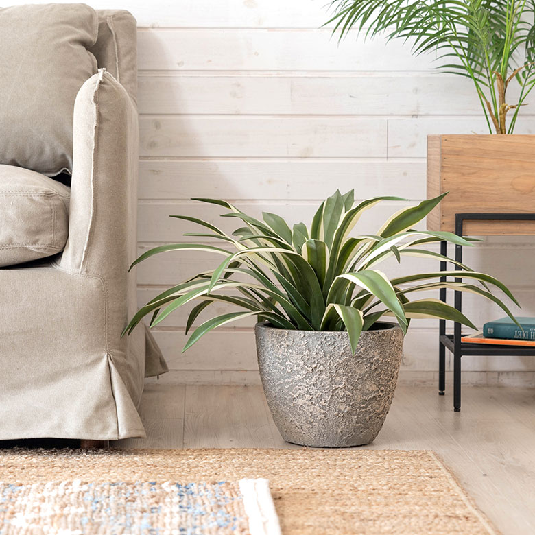 自然な風合いで主役を引き立てる。プランター Sサイズ