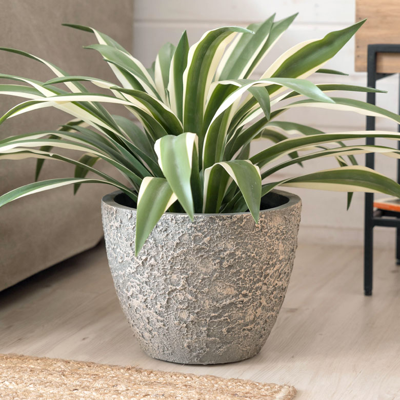 自然な風合いで主役を引き立てる。プランター Sサイズ
