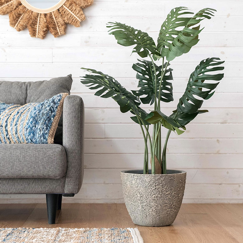 自然な風合いで主役を引き立てる。プランター Mサイズ