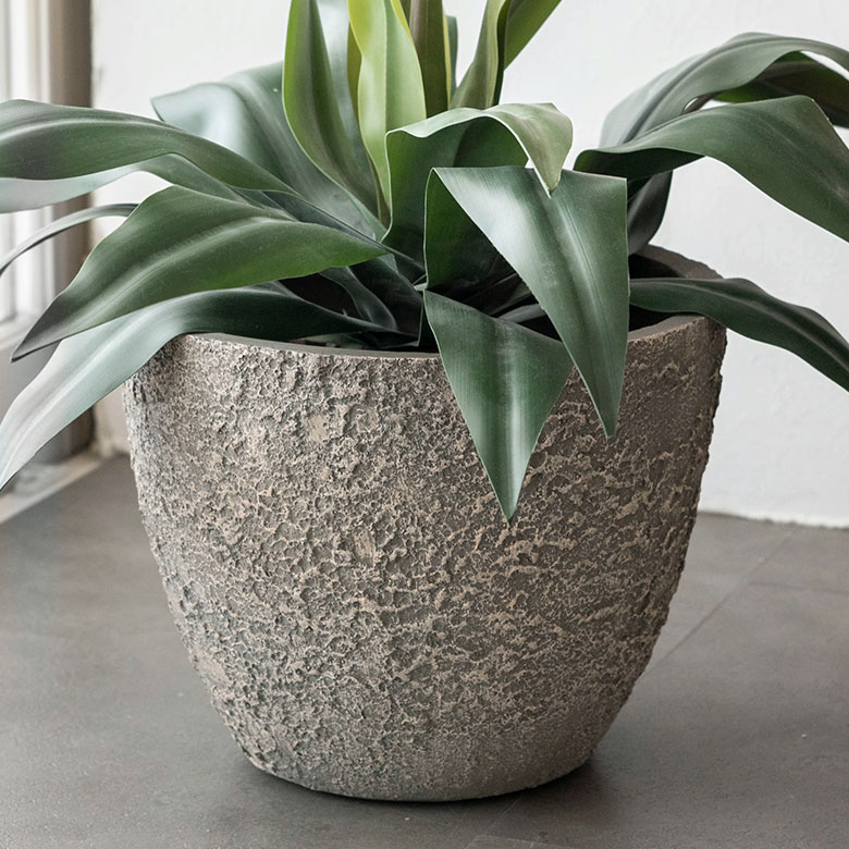 自然な風合いで主役を引き立てる。プランター Mサイズ