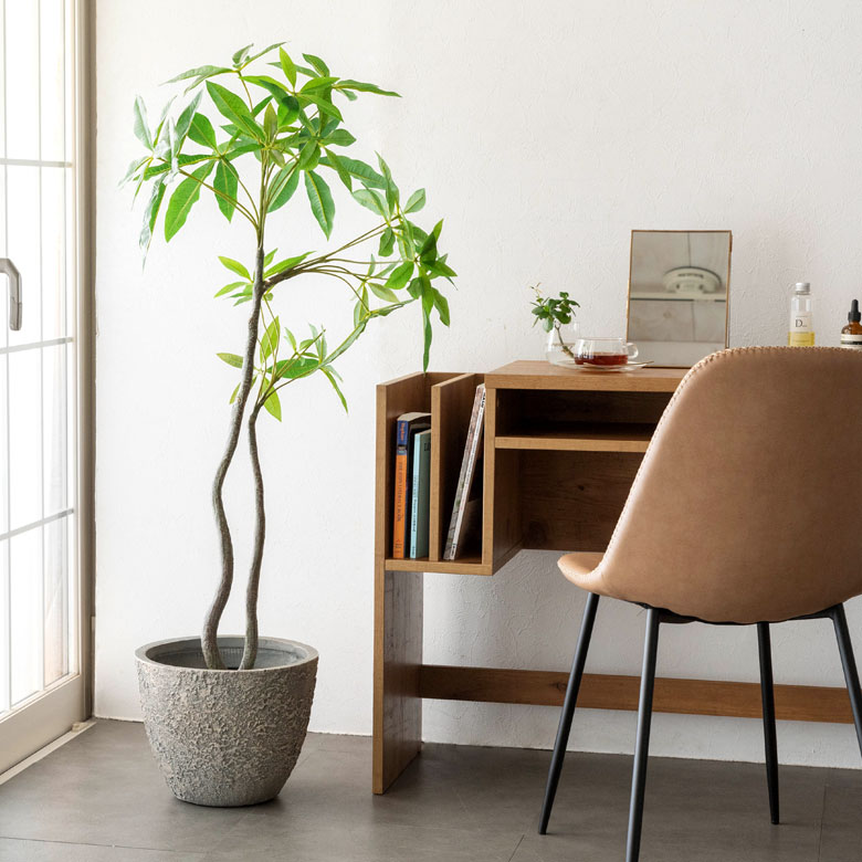 自然な風合いで主役を引き立てる。プランター Mサイズ