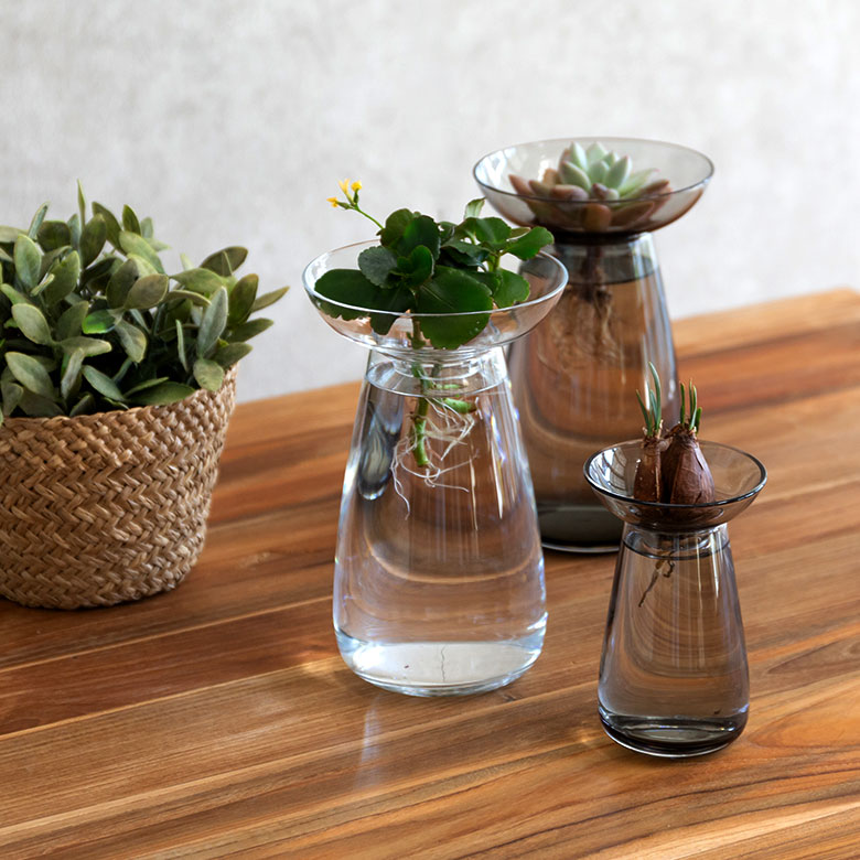 アクアカルチャーベースLサイズ [ クリア/グレー ]