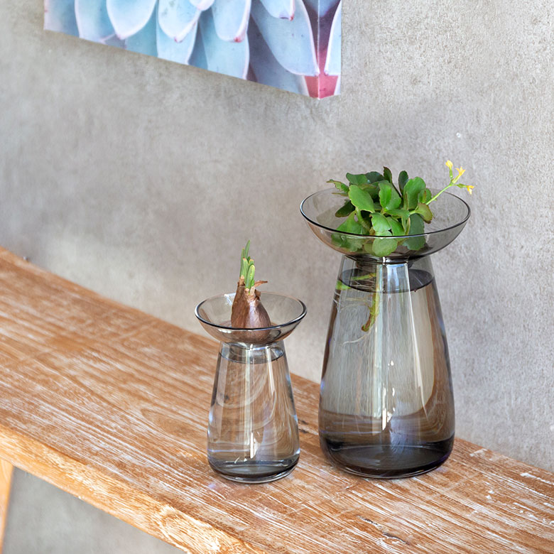 アクアカルチャーベースLサイズ [ クリア/グレー ]