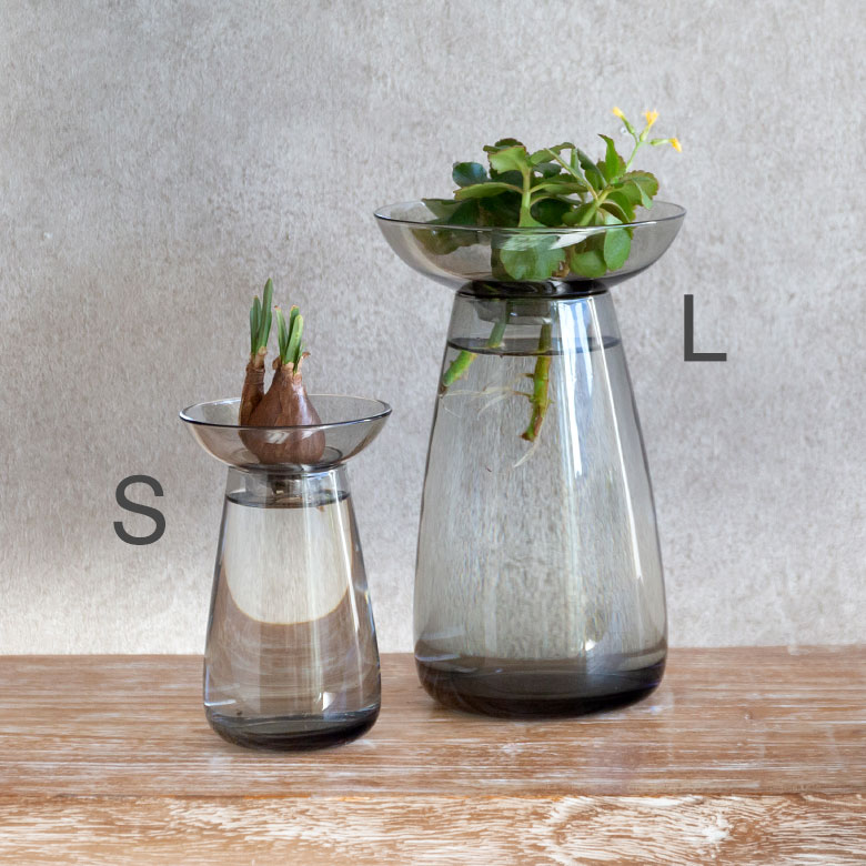 アクアカルチャーベースLサイズ [ クリア/グレー ]