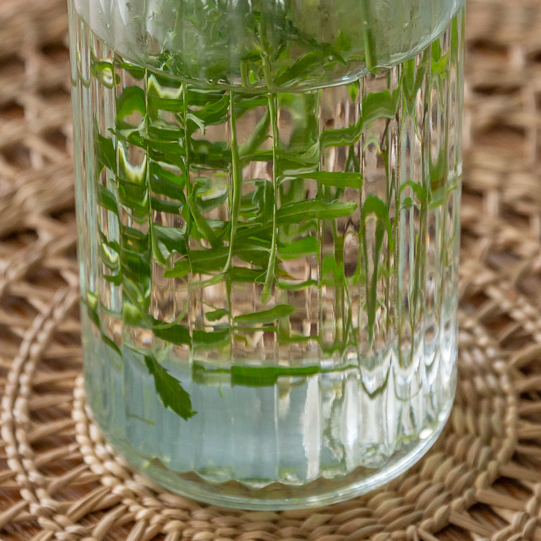 光の反射が綺麗な花瓶