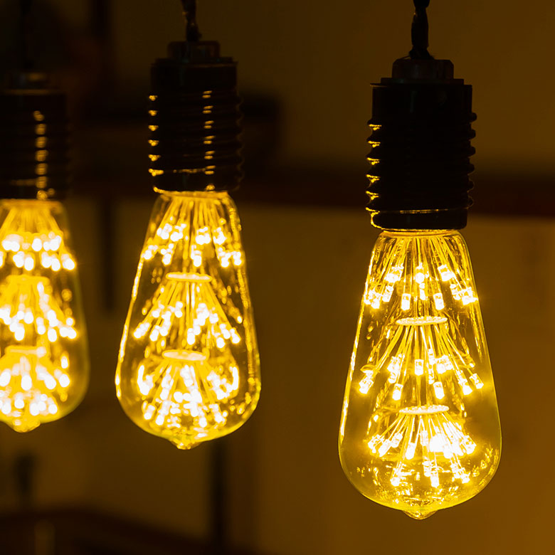 フィラメントが美しいエジソン裸電球。