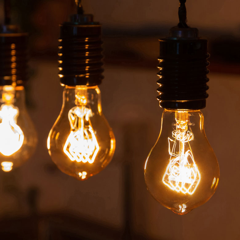 フィラメントが美しいエジソン裸電球。