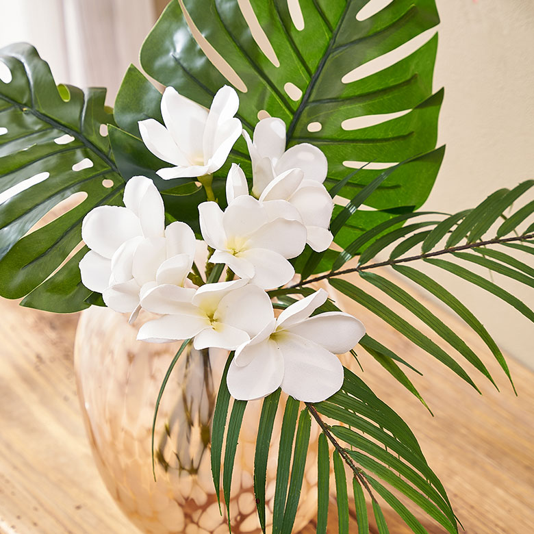 真っ白な花びらが優雅で上品なプルメリア