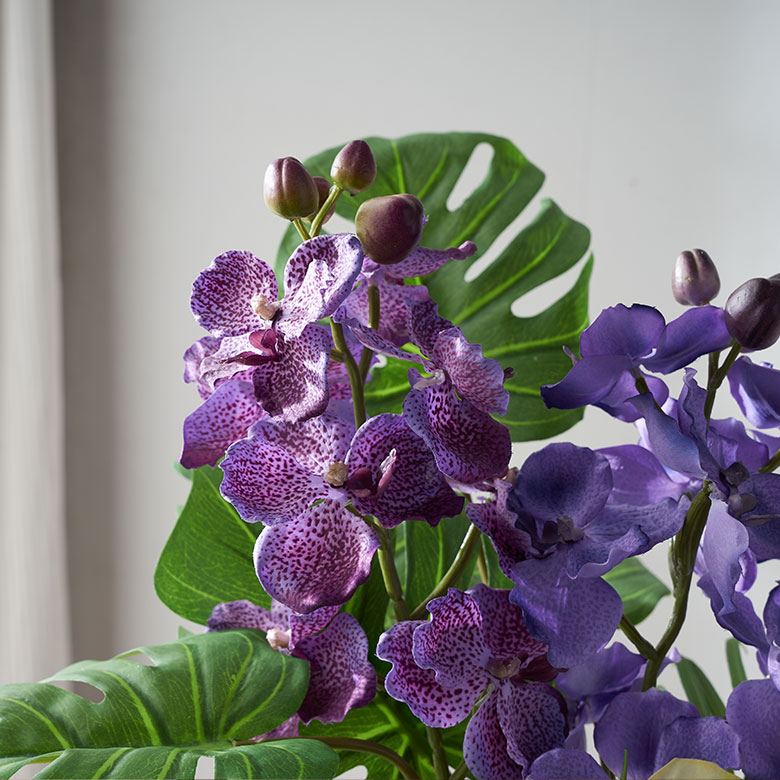 鮮やかなパープルカラーとしなやかな花びらが、優雅で上品なオーキッド