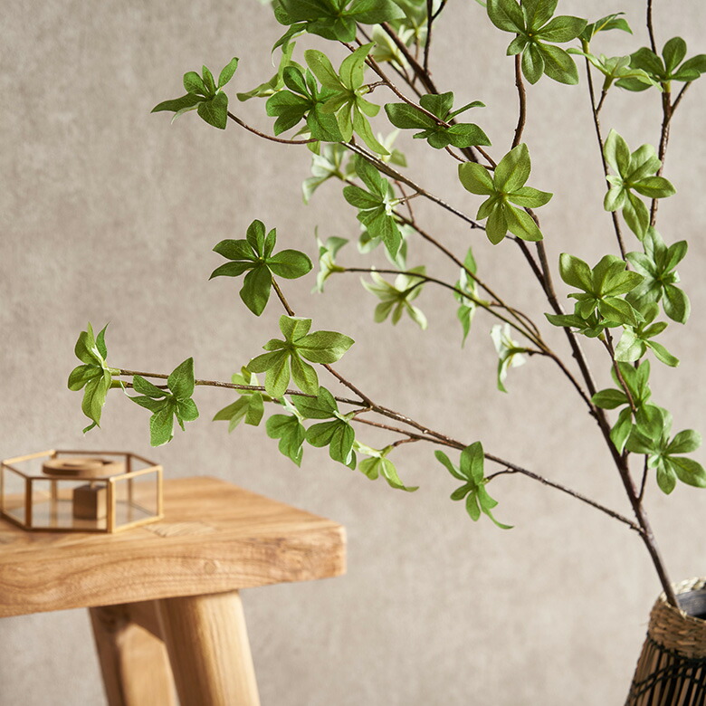 優しい印象の繊細な枝