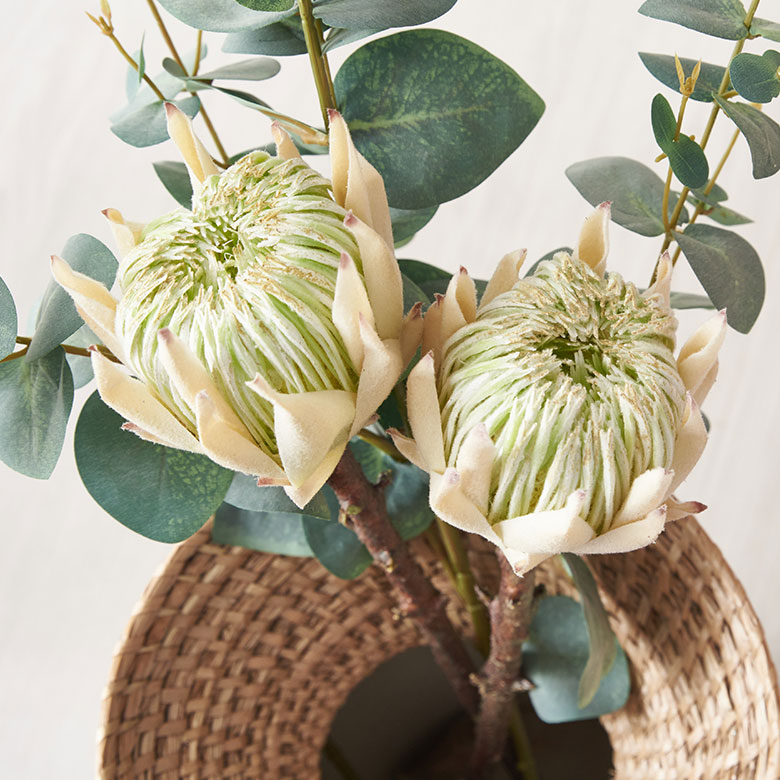 プロテア、お手入れいらずの気軽なアーティフィシャルフラワー