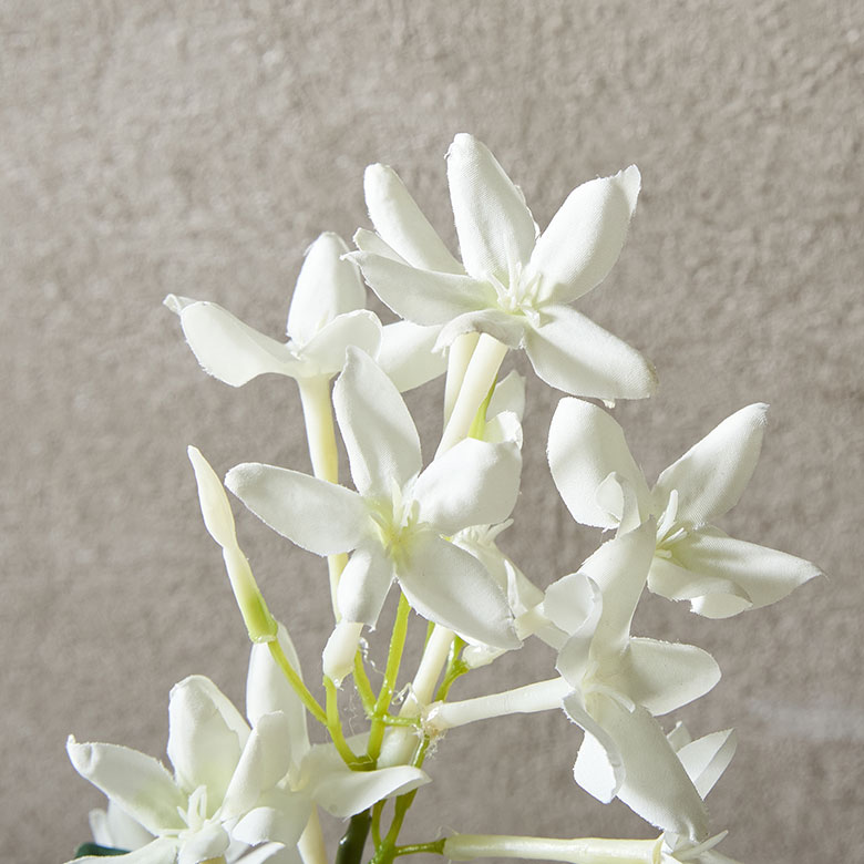 置くだけで空間を印象的に変えてくれます