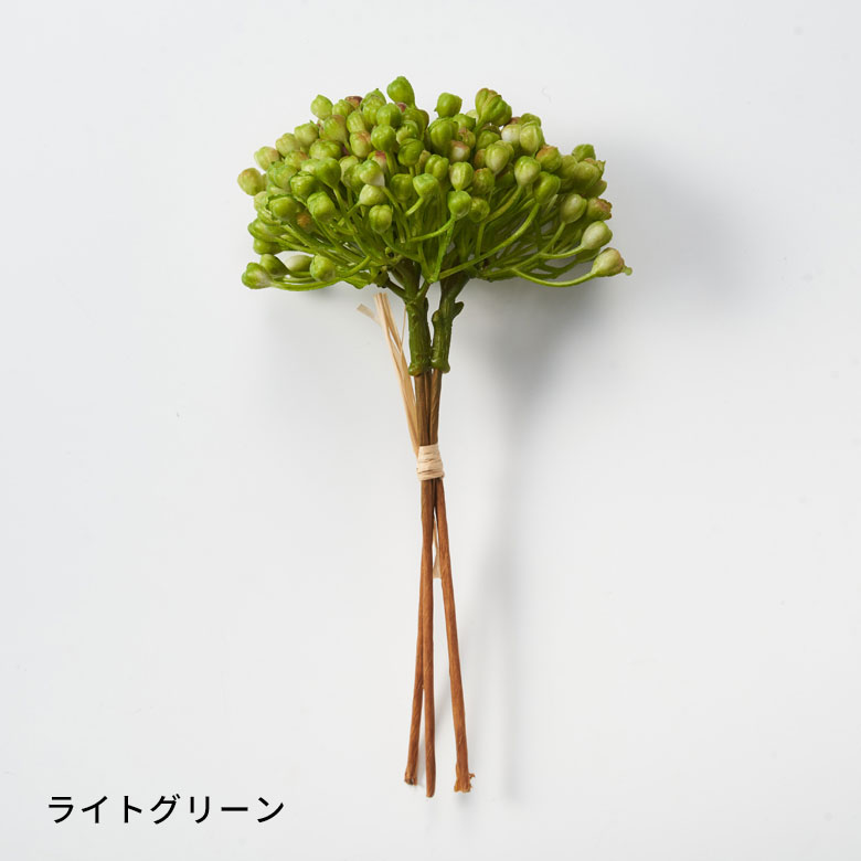 ライトグリーン