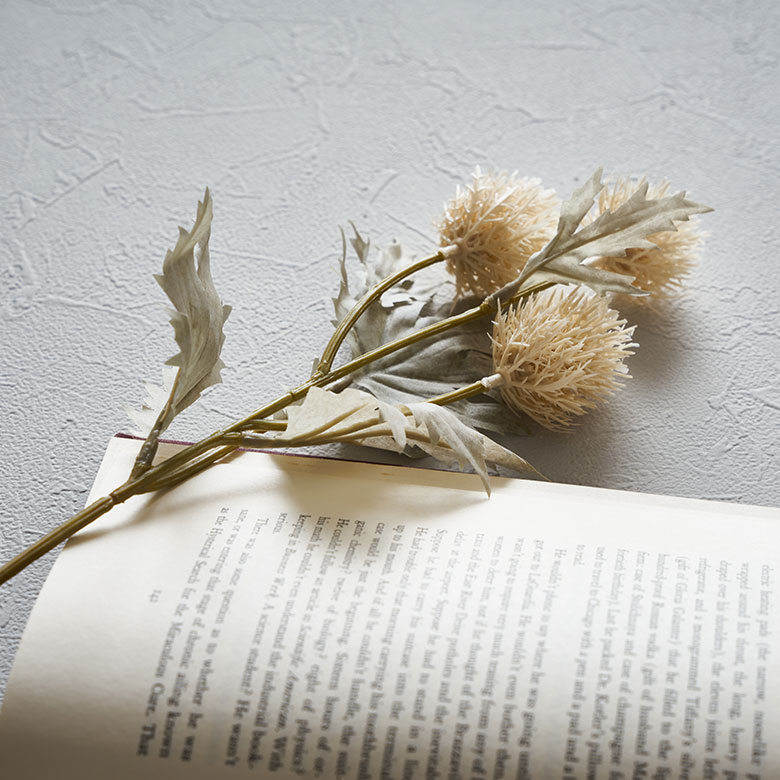 お部屋にひとつあるだけで様になるデザイン