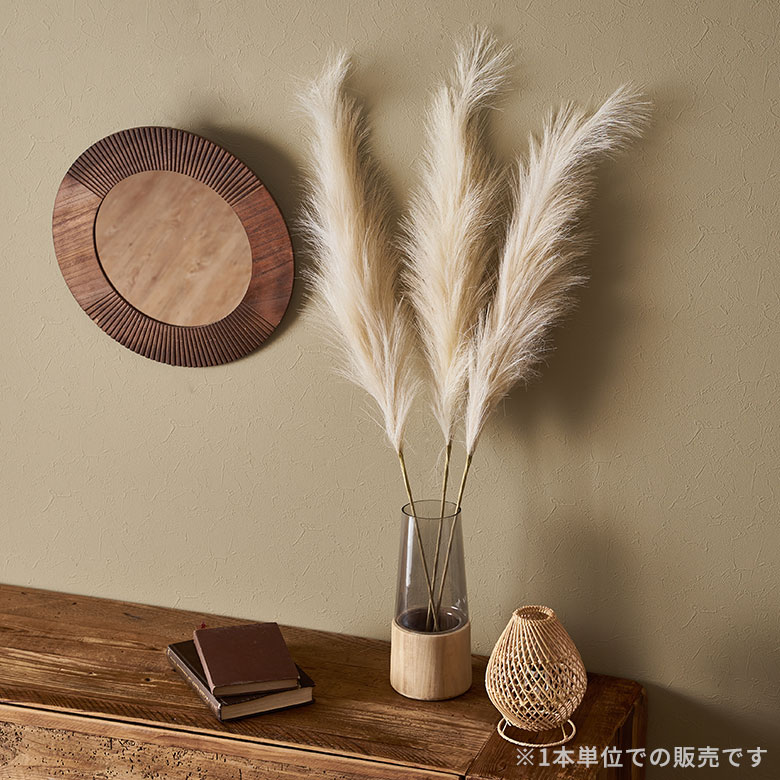 パンパスフェザーグラス