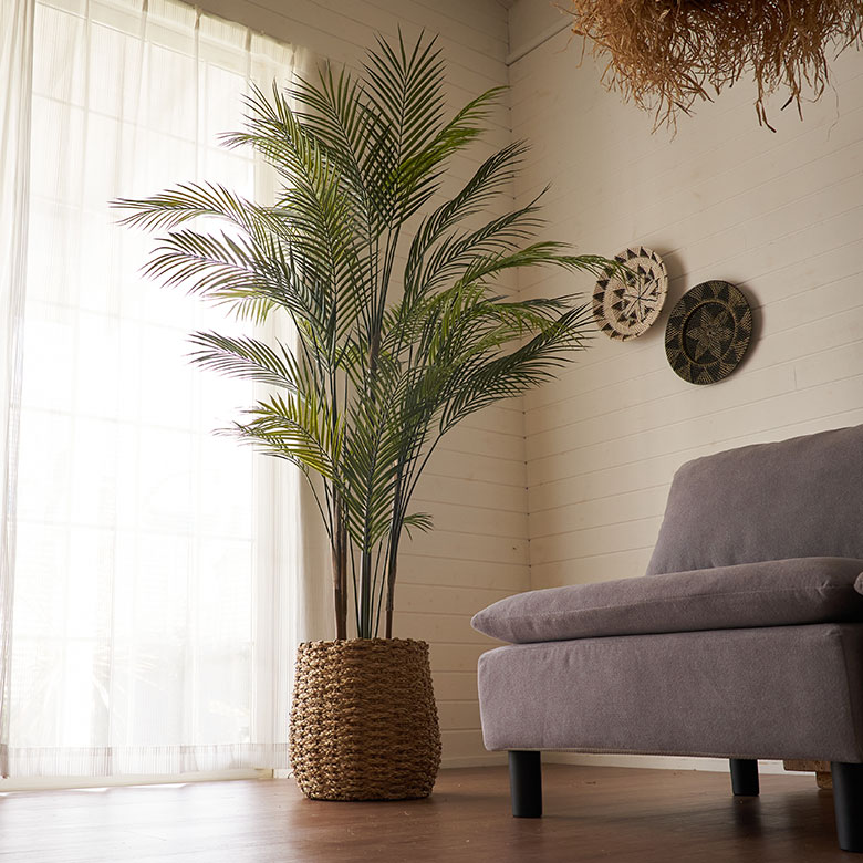 水やりや日光は不要で、お手入れも楽らくなアートプランツ