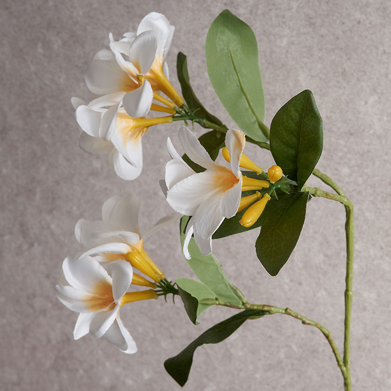 インテリアのアクセントになる、本物そっくりなフェイクフラワー