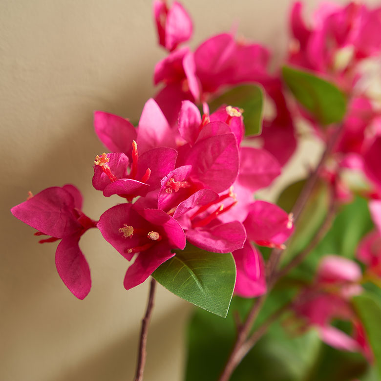 鮮やかな色彩で、南国リゾートの雰囲気を演出