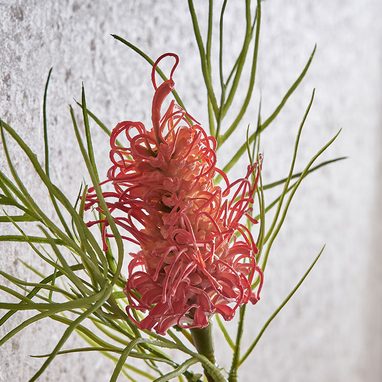 鮮やかな色彩で、南国リゾートの雰囲気を演出