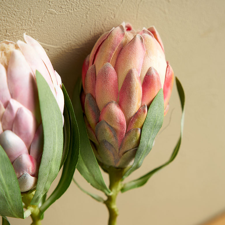 繊細なグラデーションのカラー