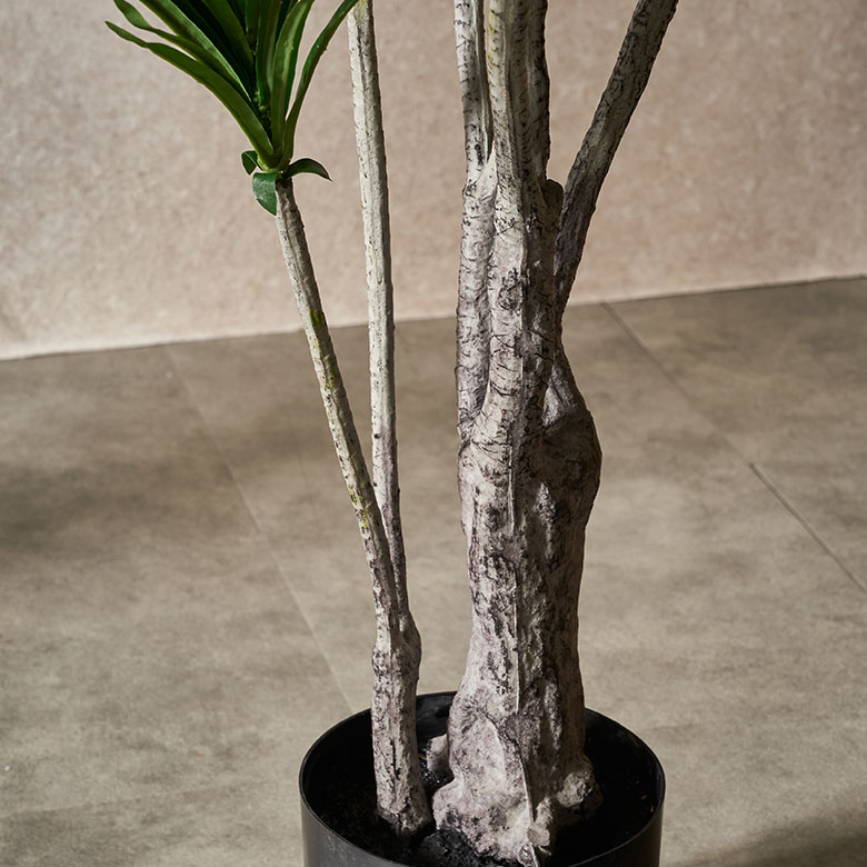 水やりや日光は不要なので、お手入れも楽らく