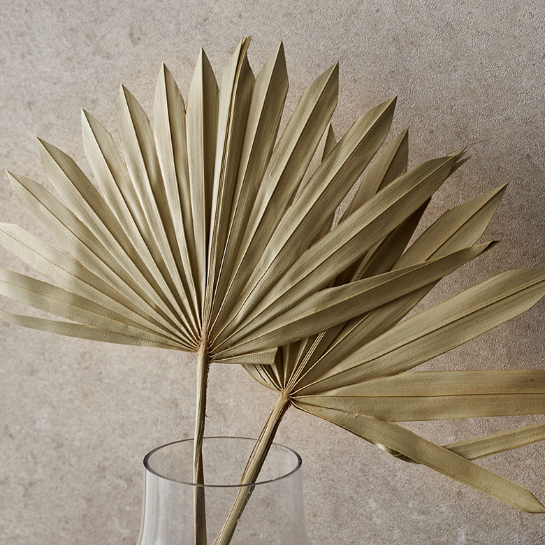 パーム椰子のドライプランツスティック