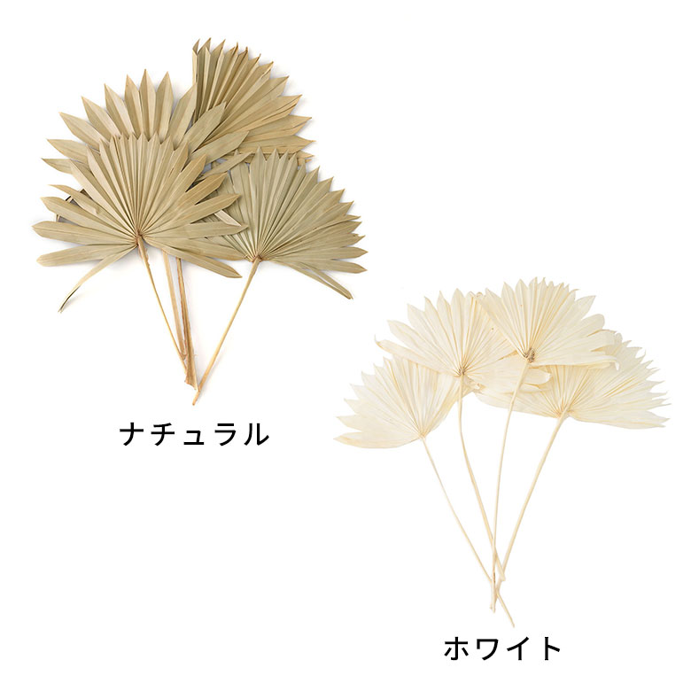 ナチュラルとホワイト