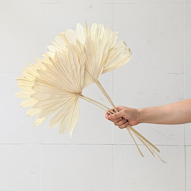 存在感のある大きさ