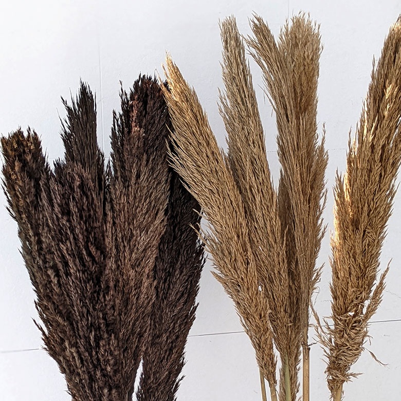 キツネのしっぽのような、ふんわりと優しく広がる形