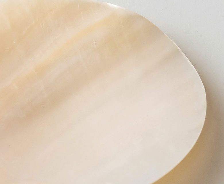 貝で作られたハンドメイド品